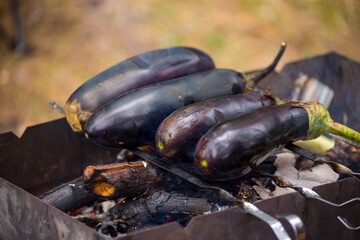 Aubergine group being cooked on a fireplace BBQ grill at the camping site. Vegetarian BBQ concept.