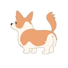 Cartoon welsh corgi on white background.