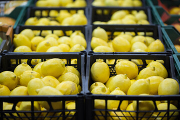 lemons in crates on supermarket