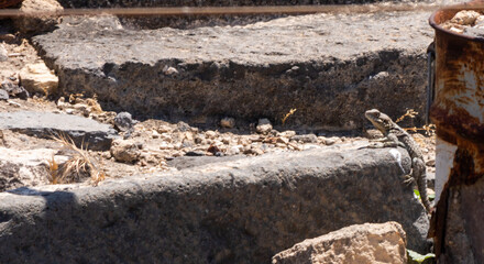 ruins of the ancient city