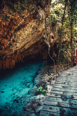 Bright Blue Water, Stone Cave Wall, and Jungle Vines of a Cenote