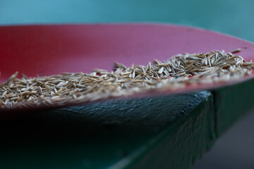 Grassamen Garten Aussähen Rasen Rasensamen Rasen