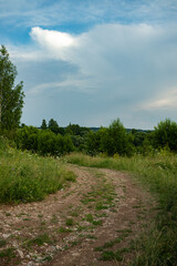Fototapeta na wymiar Dirt road in the middle of a green flowering meadow and forest on a clear sunny summer day.