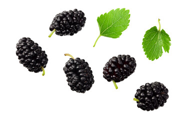 Mulberry berry with leaf isolated on white background. flat lay. top view