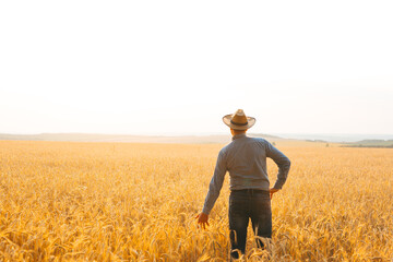 Farmer with hat on his head in the wheat field overlooking the sunset