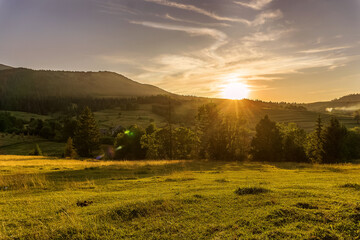 Green meadow in the rays of the setting sun