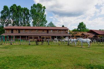 Lifestyle on the horse farm in the city of Daday. Horses graze right in front of the horse farm.