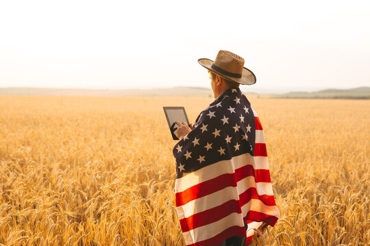 Young caucasian farmer energetically raised the American flag in a  field of wheat and using digital tablet.