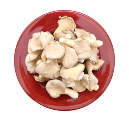 oyster mushroom in plate on white background