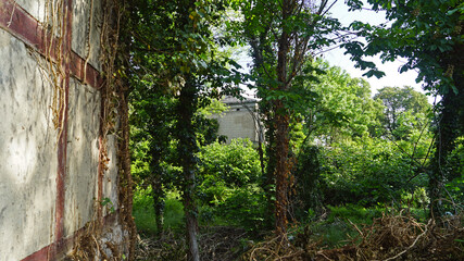 Hildebrand's Mill