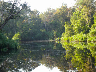 mirror river