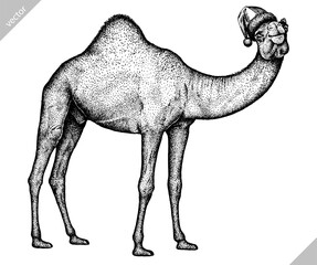black and white engrave isolated camel vector illustration