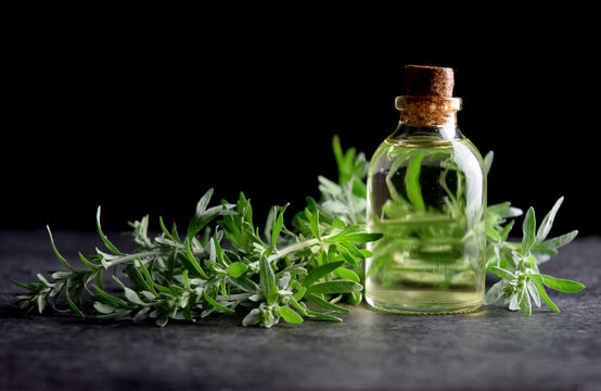 wormwood absinth organic oil