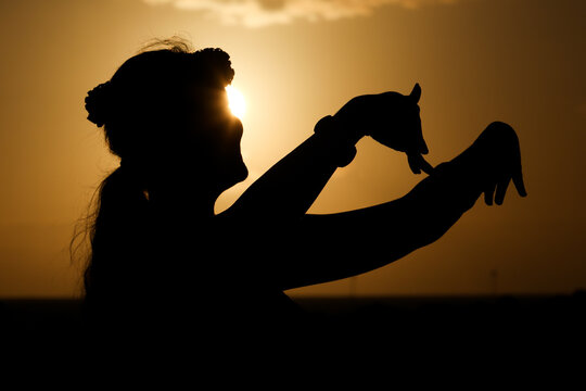 Beautiful silhouette of a Hula Dancer at Sunset on the Hawaiian Island of Maui