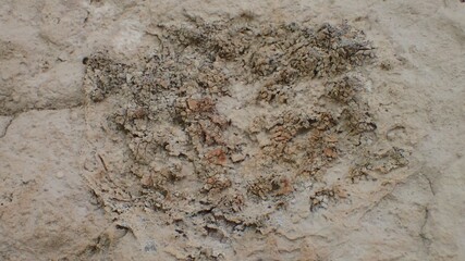 Rock Close Up