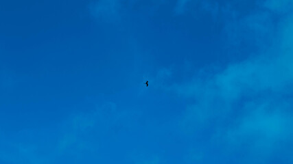 Vuelo en solitario.