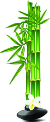 Fototapeta na wymiar Letter I made of bamboo tree