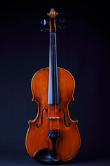 Fototapeta na wymiar Violine auf schwarzem Grund