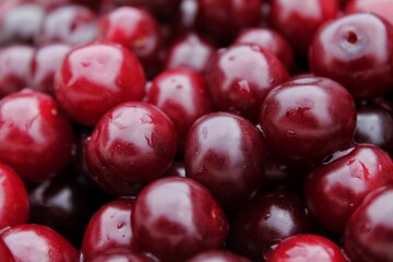 red cherries background