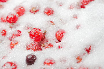 Macro redcurrants and blackcurrant with sugar.