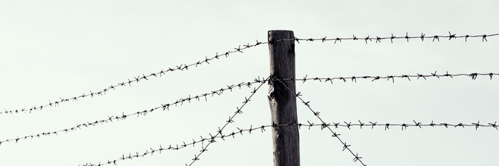 Old barbed wire and a wooden post against a pale sky. Barbed wire fence.