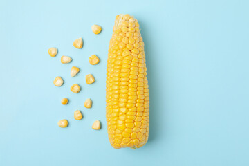 Composition with fresh corn on blue background, top view