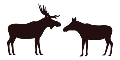 elk, moose, male and female. vector.