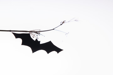 Bat of paper flaying under a brunch on a white background. Homemande Halloween decoration, DIY....
