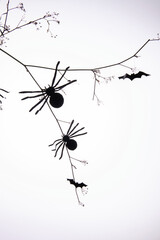 Spiders of black paper climbing on a brunch with little silhouettes of bats on white background. Homemande Halloween decoration, DIY. Trendy Halloween minimal card or poster