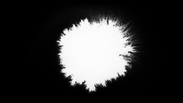 Set of 5 video clips of white paint bleeds on black backdrop. Can be used as a graphic element or as a luma matte to reveal images.