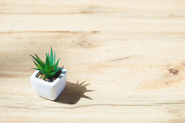 Artificial succulent plant in ceramic pot on a wooden table with copy space