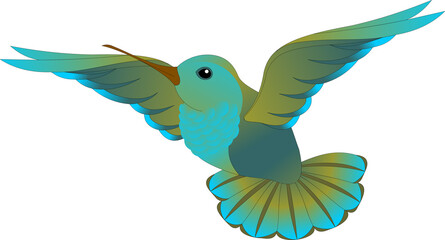 blue-green hummingbird in flight
