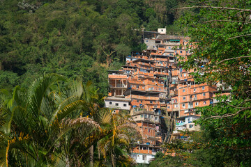 Fototapeta premium Stacked Red Brick Houses of Brazilian Favela Surrounded by Tropical Forest in Rio de Janeiro