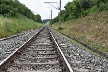 Railroad tracks in ditch lined by electric posts stretching into the distance. 