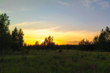 Naklejka na ściany i meble landscape with a summer field at sunset