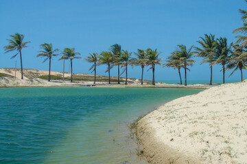 Obraz premium morro branco beach in ceara northern brazil