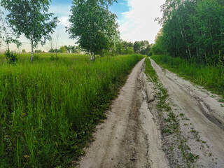 Fototapeta na wymiar image of a country road in a field