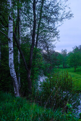 image of the river bank