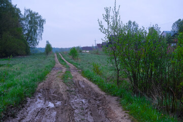 Fototapeta na wymiar image of a country road in spring after rain