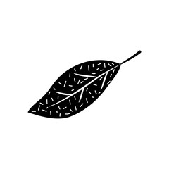 abstract leaves concept, leaf with spear shape, silhouette style