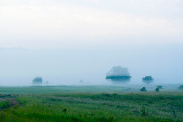 landscape with a summer field at sunset