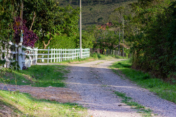 country road in the countryside