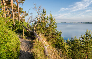Halbinsel Gnitz auf Usedom