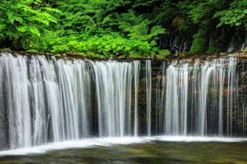 Fototapeta na wymiar 軽井沢　白糸の滝