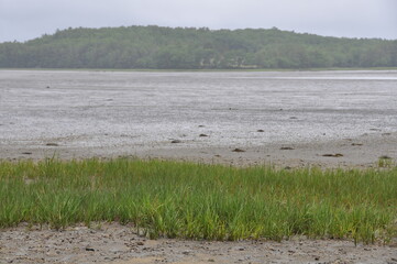 Low Tide Tidal Inlet