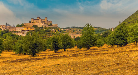Fototapeta na wymiar A panorama view across an olive grove towards the Tower Bridge and the hill top fortress in Spoleto, Italy in summer