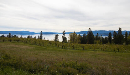 Flathead Lake, Montana