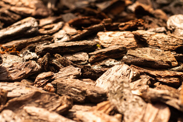 Crushed tree bark texture background closeup. Shredded brown tree bark for decoration