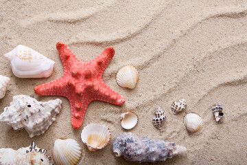Fototapeta na wymiar Top view starfish and shells on the sand. The concept of summer vacation at sea