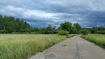 Fototapeta na wymiar Landscape. Meadow grass, old road, clouds and wind generators.